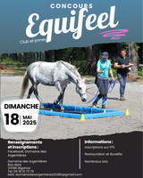 Concours Equifeel