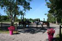 CHEVAL CLUB